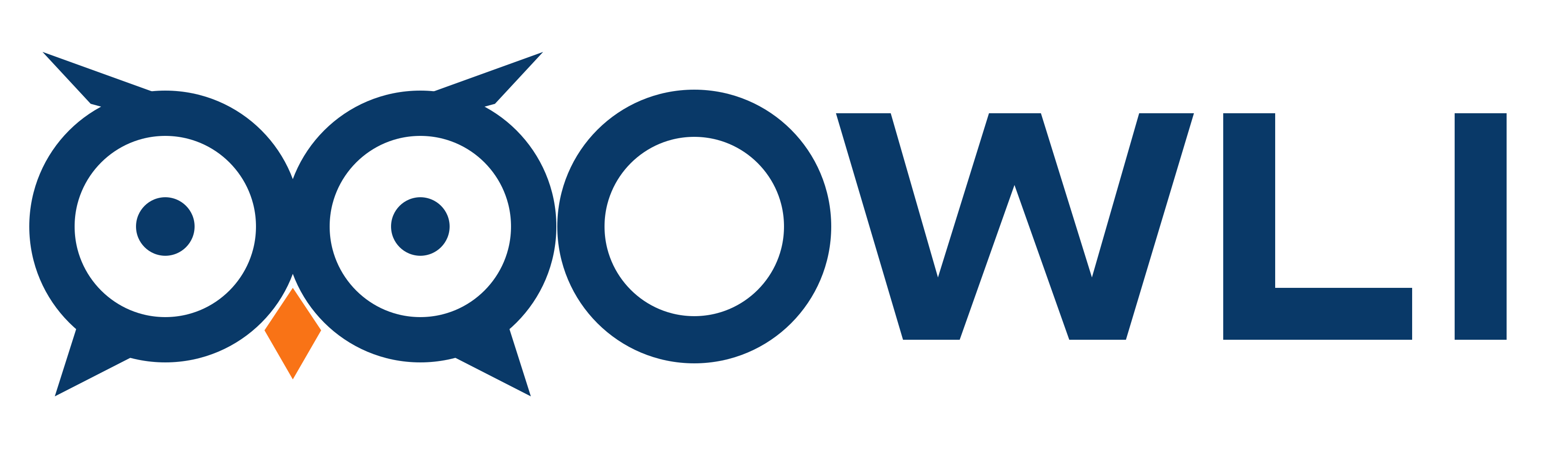 OWL India, Open Watch Lab India